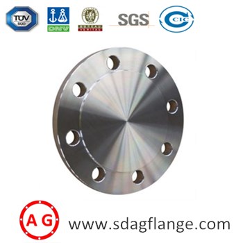 போலியான JIS B2220 5K BLIND FLANGE SS400/SF440